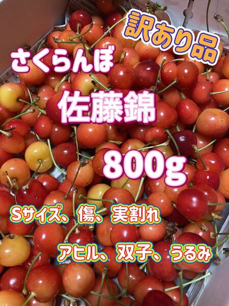 さくらんぼ 佐藤錦 800g 訳あり品 山形県産