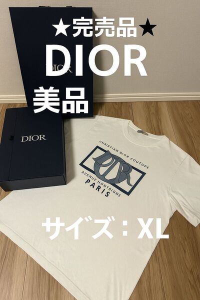 【完売品】DIOR メンズ Tシャツ XL 正規品 ロゴ 人気デザイン 付属品あり