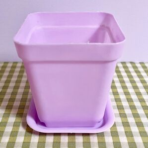 カラフル ポップ キャンディ プランター 受け皿付き パープル