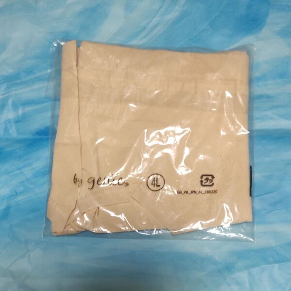 新品 ジニエショーツ 4L