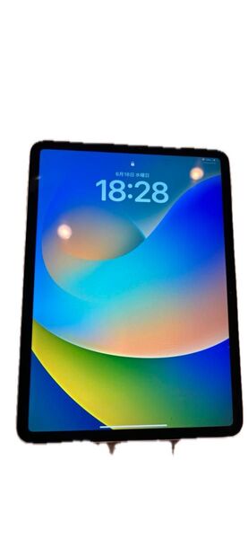 Apple iPad Pro(第一世代)11インチ 256GB WiFi iPad Pro Wi-Fi