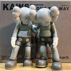 KAWS ALONG THE WAY GREY