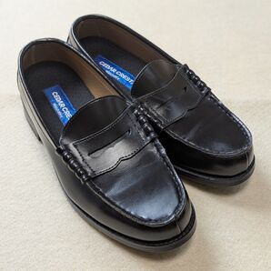 CEDAR CREST (セダークレスト)メンズ ローファー25cmEEE ブラック ウォッシャブル