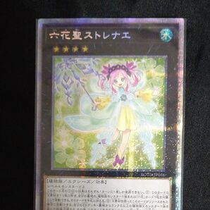 遊戯王 六花聖ストレナエ プリズマティックシークレットレア PSE