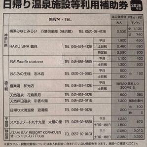 日帰り温泉施設特別利用券 2枚