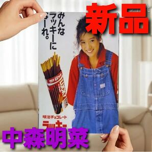 ~時限タイムセール~【新品未開封】中森明菜 激レア ブリキ 看板 レトロ レア アイドル ビンテージ オーバーオール