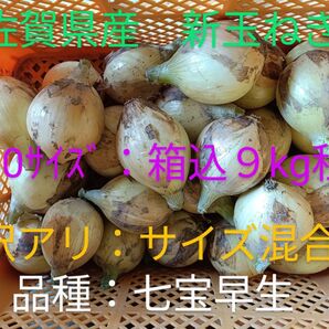 新玉ねぎ 佐賀県産 しろいし玉ねぎ 早生七宝早生 減農薬 サラダ用玉ねぎ 産地直送 農家直送 9kg 10kg 規格外 訳アリ
