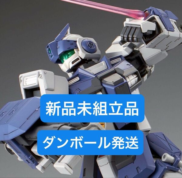 【新品未組立】MG 1/100 ジム・ドミナンス