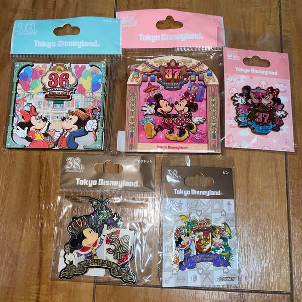 ディズニーランド ピンバッジ マグネット
