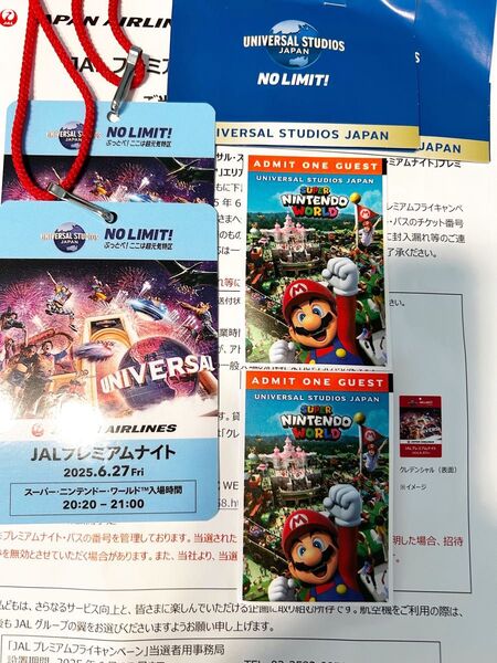 USJ プレミアムナイト・パス(スーパー・ニンテンドー・ワールド入場確約つき) チケット