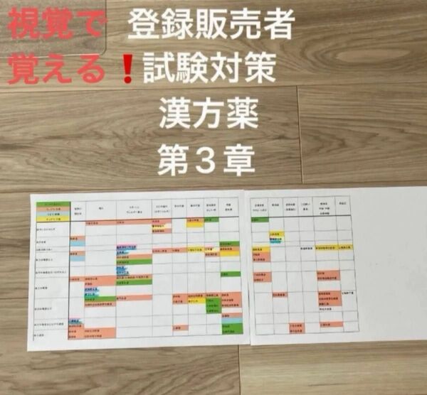 【即日発送】医薬品登録販売者 漢方薬体力早見表 暗記 2枚セット