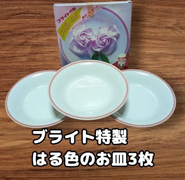 ネスレ ブライト はる色のお皿 3枚 食器 カレー皿 パスタ皿 ノベルティ【返品不可】