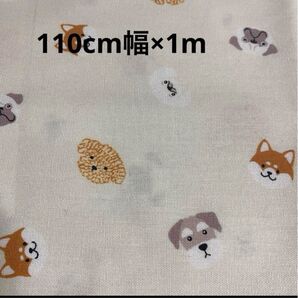 綿シーチング生地 わんちゃん柄