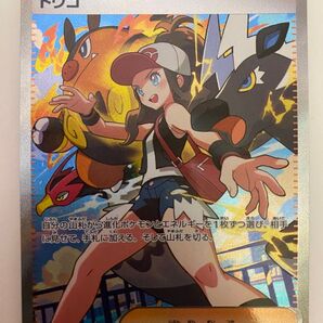 トウコ SAR 硬質ケース&スリーブ付 ダイケンキ等 AR 5種 RR レシラムex等 4種 スリーブ付 おまけに写真最後