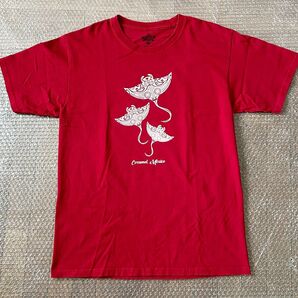 【Cozumel, Mexico】マンタ柄 アートTシャツ(ユニセックス/Mサイズ) Tシャツ 半袖 古着 プリントTシャツ