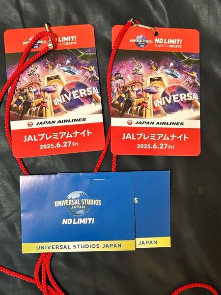ユニバーサルスタジオジャパン JALプレミアムナイト 6月27日 ペアチケット