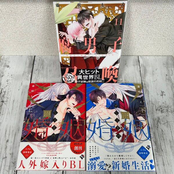 【BL 藤咲もえ】・腐男子召喚~異世界で神獣にハメられました~(11)・チシュ王の婚姻~花嫁に交わる王の糸~(上)(下)