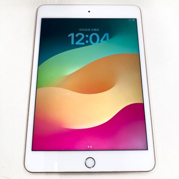 iPad mini 5 本体 アイパッド ミニ 472