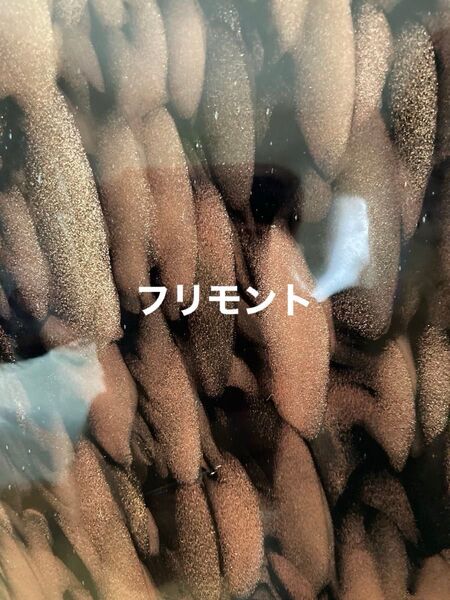 フリモントアンティークグラス P2 48/74A『ミディアムブルー』