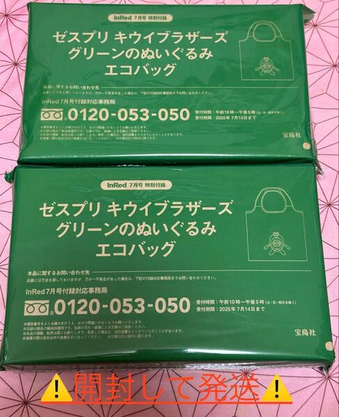 InRed 7月号 付録 ゼスプリ キウイブラザーズ グリーンのぬいぐるみエコバッグ 2個