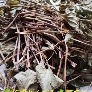 乾燥どくだみ(茎多め!)100g