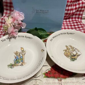 THE WORLD OF PETER RABBIT 絵皿 2枚セット