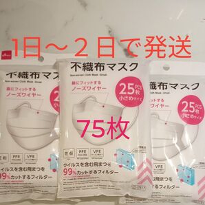 マスク 小さめ 女性用 子供用 不織布マスク ダイソー