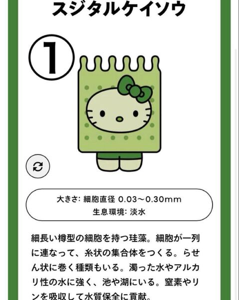 【新品未使用】選べる藻類キティ5個セット大阪関西万博日本館限定ピンバッジサンリオ