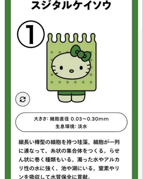 【新品未使用】選べる藻類キティ3個セット大阪関西万博日本館限定ピンバッジサンリオ
