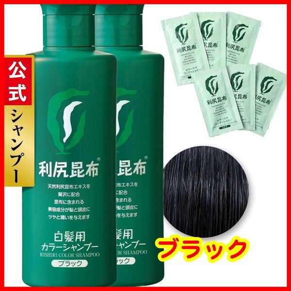 白髪染めシャンプー 2本セット Sastty 利尻カラーシャンプー 200ml ブラック コンディショナー付