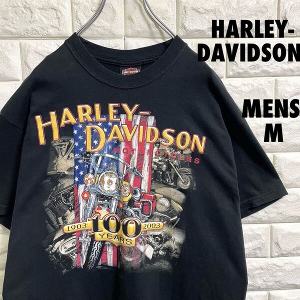 美品 ハーレーダビッドソン USA製 両面プリント Tシャツ メンズMサイズ