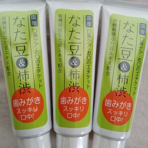 3本★なた豆柿渋歯磨き 120g ・3本 歯みがき粉 柿渋 なた豆 口臭予防 なたまめ柿渋