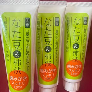 3本★なた豆柿渋歯磨き 120g ・3本 歯みがき粉 柿渋 なた豆 口臭予防 なたまめ柿渋