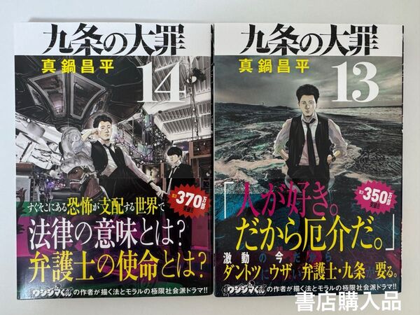 九条の大罪 14,13 (ビッグコミックス) 真鍋昌平/著 2冊セット