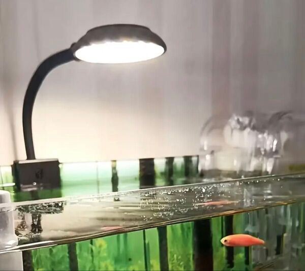 新品 送料込み 水槽用 LEDライト アクアリウム テラリウム USB 照明 デスクライト テーブルランプ スポットライト