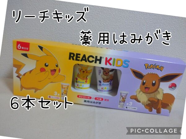 リーチ キッズ ポケモン 薬用はみがき 60g×6本セット りんご ぶどう キシリトール フッ素 配合
