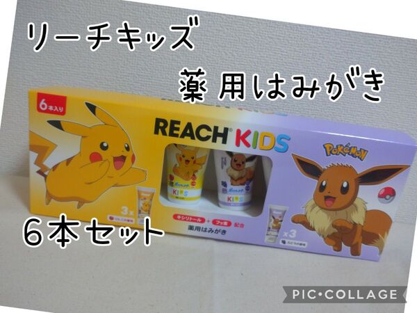 リーチ キッズ ポケモン 薬用はみがき 60g×6本セット りんご ぶどう キシリトール フッ素 配合