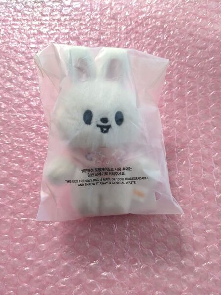 Stray Kids SKZOO PLUSH 10CM Ver. リービット