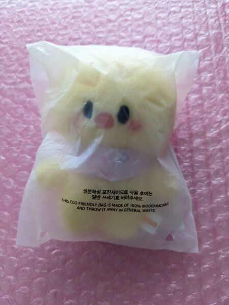 Stray Kids SKZOO PLUSH 10CM Ver. ポガリ