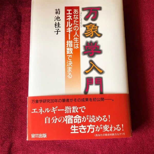 万象学入門 菊池 桂子