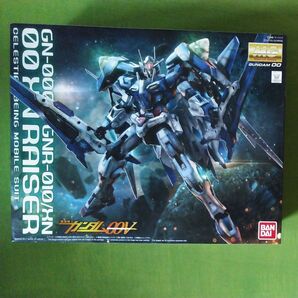 1/100 MG GN-0000+GNR-010/XN ダブルオーザンライザー ガンダム00V プレバン限定