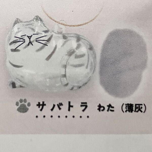 ガチャ うちの子のけだまだま サバトラ×1