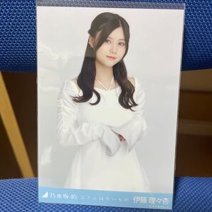 乃木坂46 伊藤理々杏 生写真 ここにはないもの