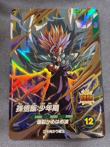 ドラゴンボールスーパーダイバーズ 孫悟飯:少年期 AP-002