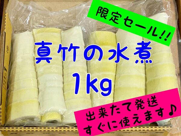 【数量限定セール!!】たけのこ水煮 真竹穂先 約1kg 真空パック 筍