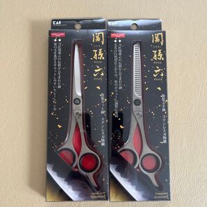 貝印 関孫六 散髪カット鋏&スキ鋏 2点セット