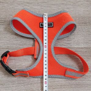 小型犬用 ハーネス オレンジ Mサイズ