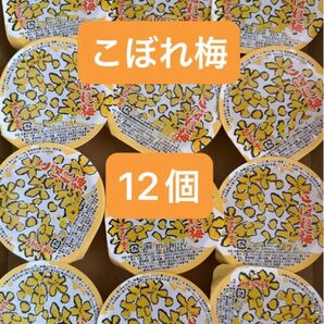 こぼれ梅 12個 梅ゼリー