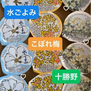 水ごよみ こぼれ梅 十勝野 水羊羹 梅ゼリー 青えんどう