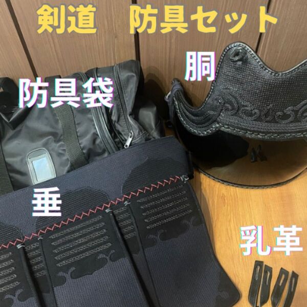 【美品】剣道 防具袋 胴 垂 乳革 セット ショルダー バッグ 剣道防具 防具単品